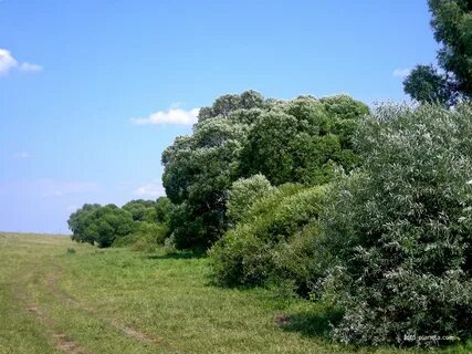 Лубянка белгородская область