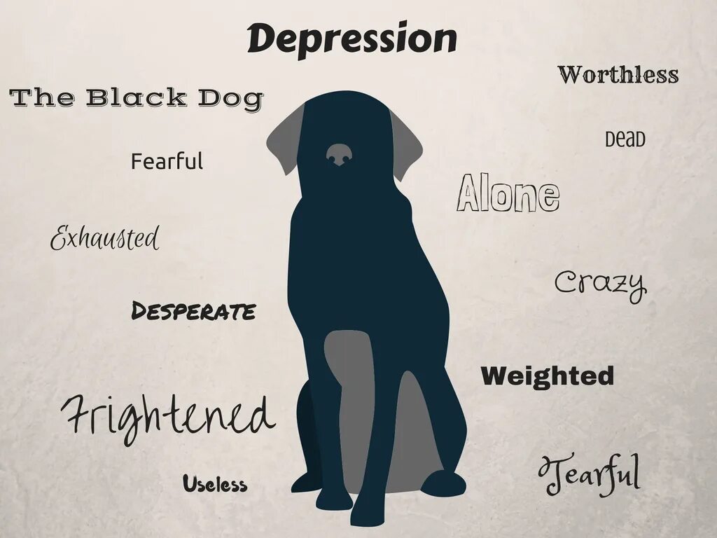 Депрессивная собака. Собака в депрессии. День черной собаки. Черная собака депрессия.