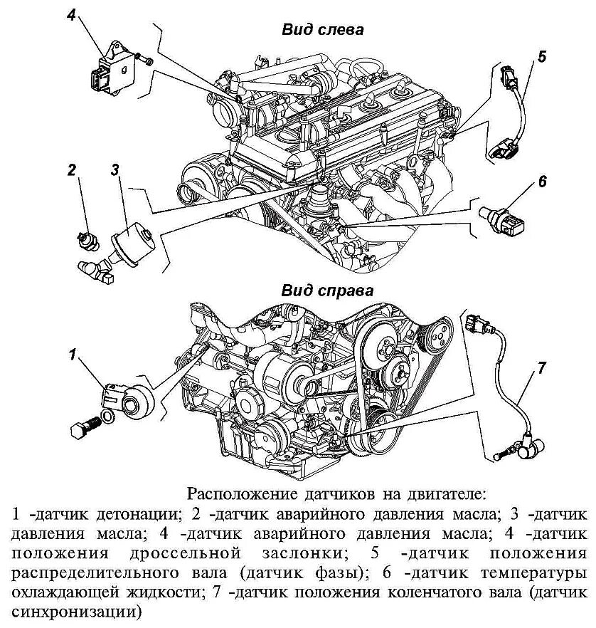 Датчики уаз 409 двигатель инжектор. Схема двигателя 409 УАЗ инжектор. Датчики двигателя ЗМЗ 409 инжектор. Схема расположения датчиков на двигателе ЗМЗ 409.