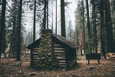 Сидевшие в лесах