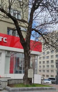 Арсеньев хабаровск