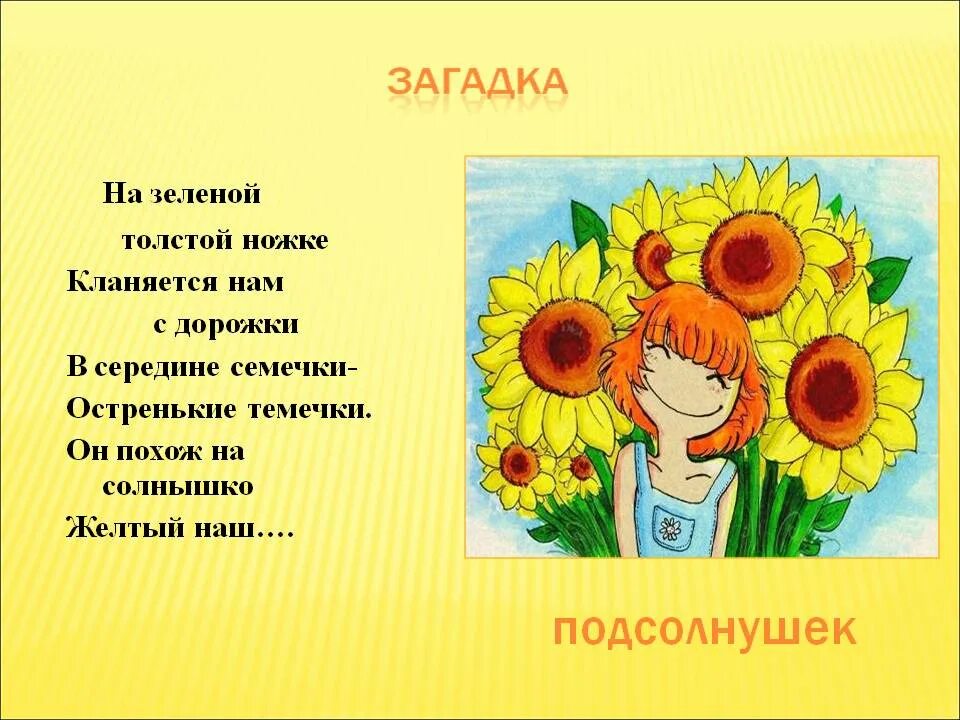 Подсолнух загадка. Загадка про подсолнух. стих про подсолнечник. загадка про подсолнух для детей. стих про подсолнух.