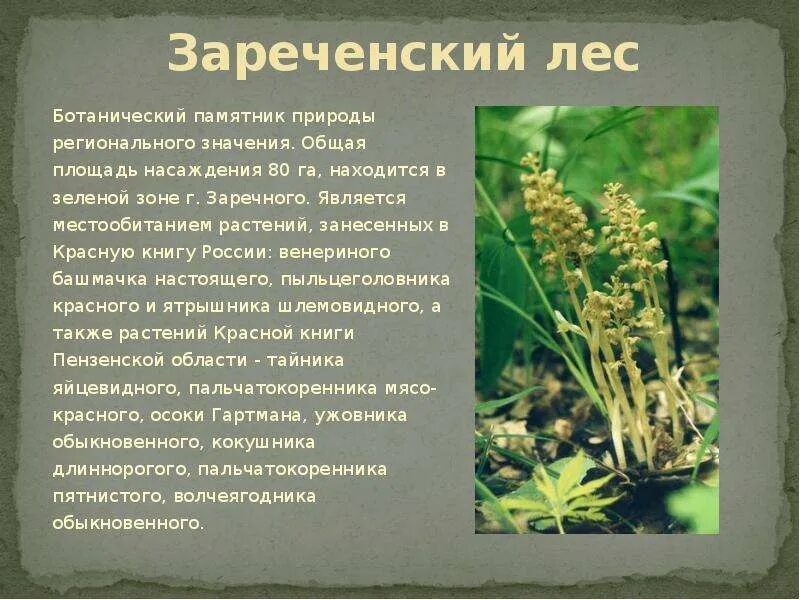 Проект красная книга пензенской области 2 класс