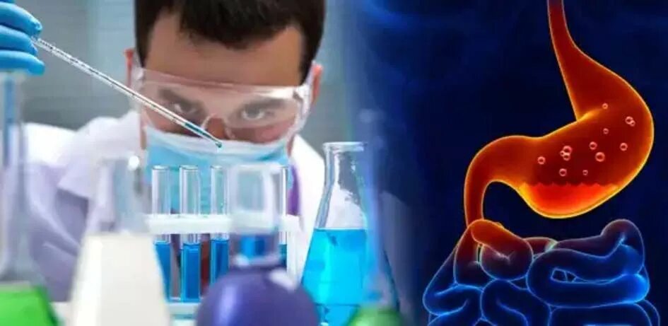 Ифа helicobacter pylori. Хеликобактер лабораторная диагностика. методы исследования helicobacter pylori. исследование на helicobacter pylori. иммунологические методы диагностики хеликобактериоза.