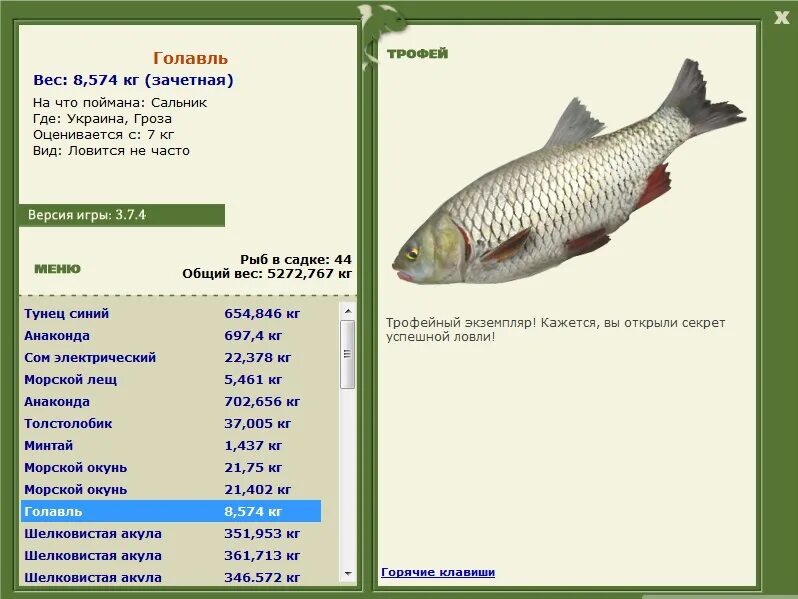 Русская рыбалка украина. Голавль рыба рр3. Рр 3.7.6 хариус трофей. Голавль вес. Голавль и лещ.
