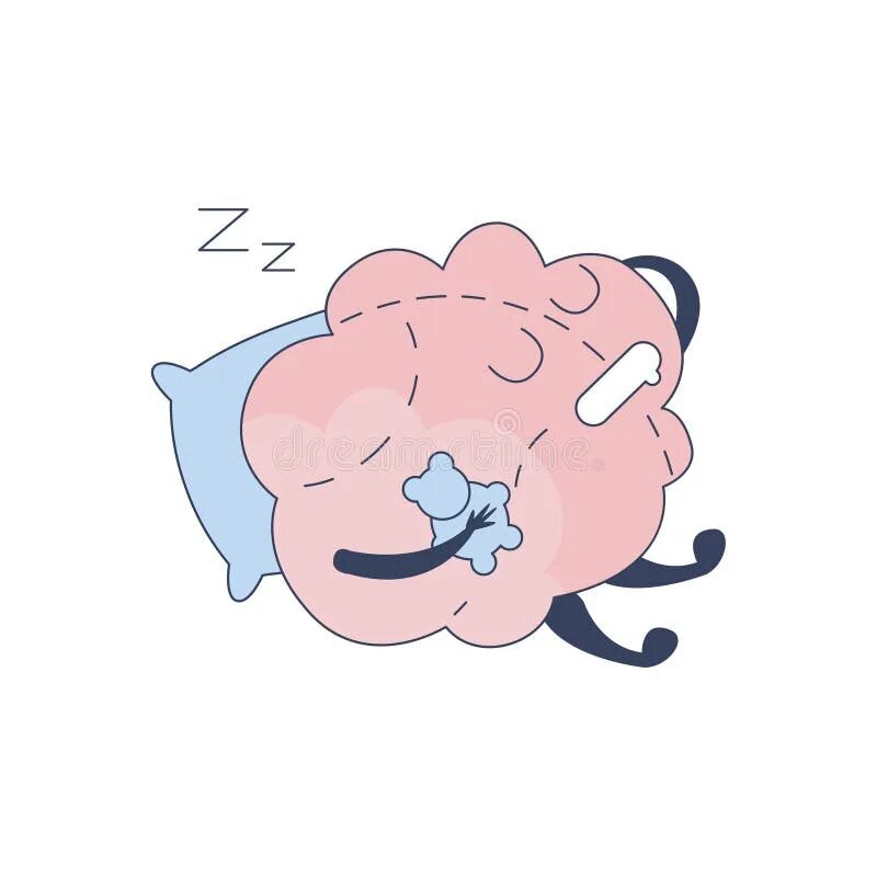 Sleeping brains. Сон и мозг.