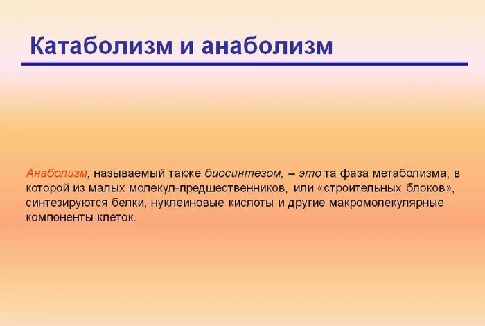 как еще называют анаболизм. анаболизм это в биологии. процессы катаболизма и анаболизма. процессы анаболизма. метаболизм.