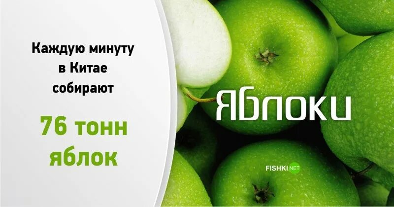 Через 1 минуту скажи. Что происходит за 1 минуту. Что может произойти за 1 минуту. Что происходит в мире за минуту. Интересные факты что происходит за минуту.