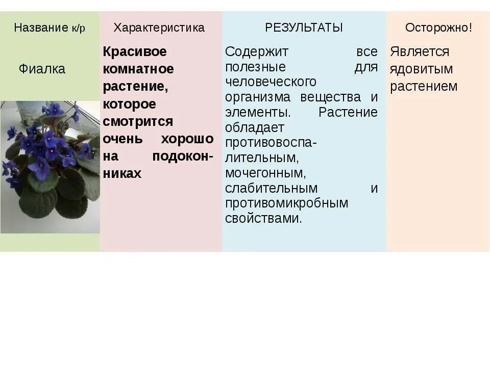 Конспект фиалка. Характеристика стебля у фиалки. Фиалка характеристика растения. Характеристика цветка фиалки. Особенности строения фиалки.