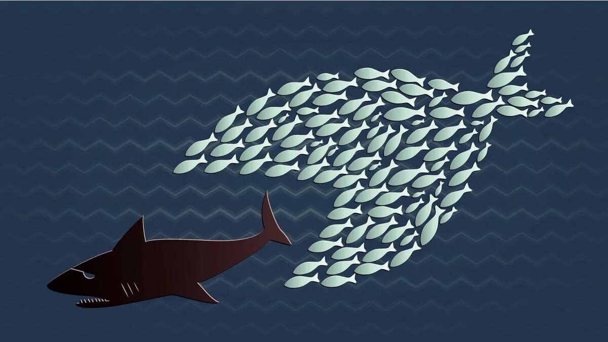 Рыбки для аквариума. Морские рыбы. Большая рыба ест маленькую. Большая рыбка есть маленькую. The smaller fish.