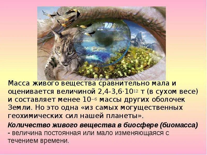 Особенности живого вещества. Живое вещество масса. Масса живого вещества. Живое вещество биосферы сосредоточено в основном. Живое вещество биосферы и его функции.