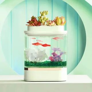 Аквариум xiaomi mijia