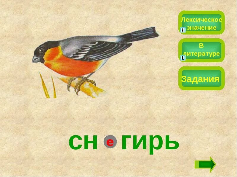 Ворона лексическое значение