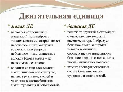 Малая единица