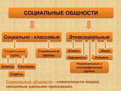 Социальная группа 1 1 11