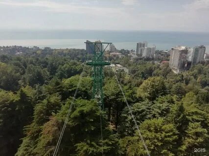 Подъемник дендрарий сочи