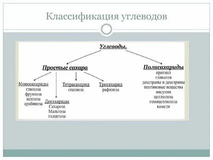 Лабораторная работа 6 класс биология углеводы
