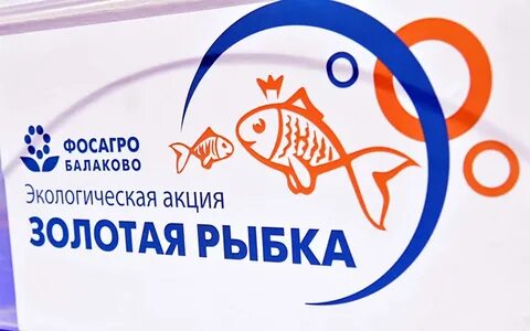 Котлас золотая рыбка