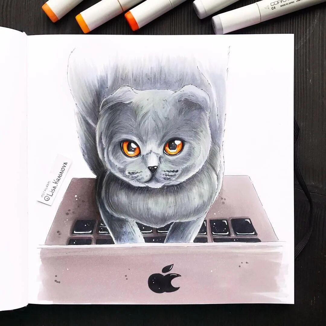 Идеи для рисунков котиков