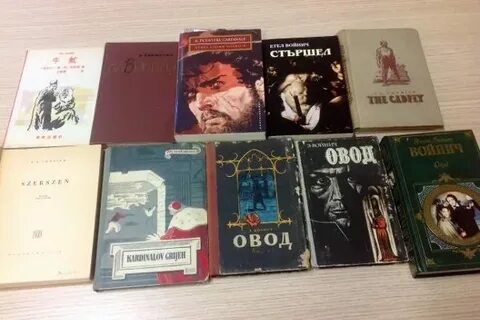 Овод читательский дневник