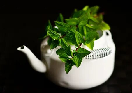 Mint tea