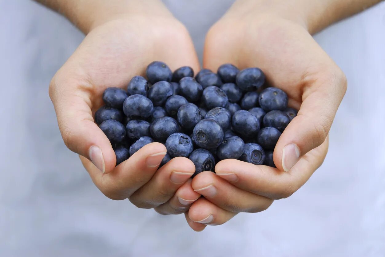 Слепая удача андрей левицкий ночкин виктор книга. Пригоршня. Изображение пригоршни. Пригоршня. Пригоршня тишины.