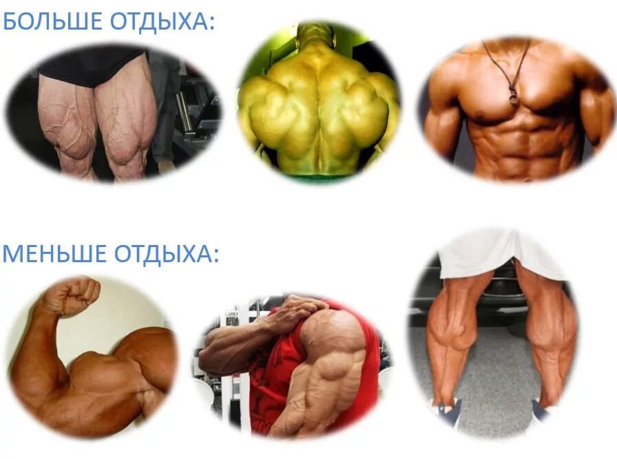 Мышцам нужен отдых