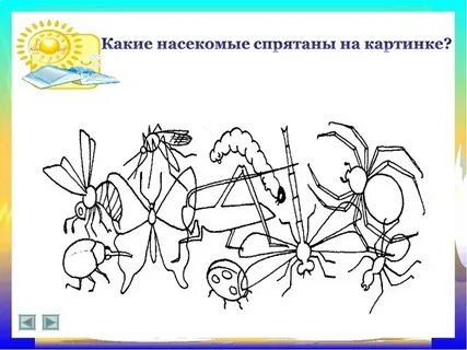 Насекомые найди
