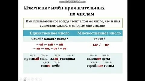 Как понять род прилагательного