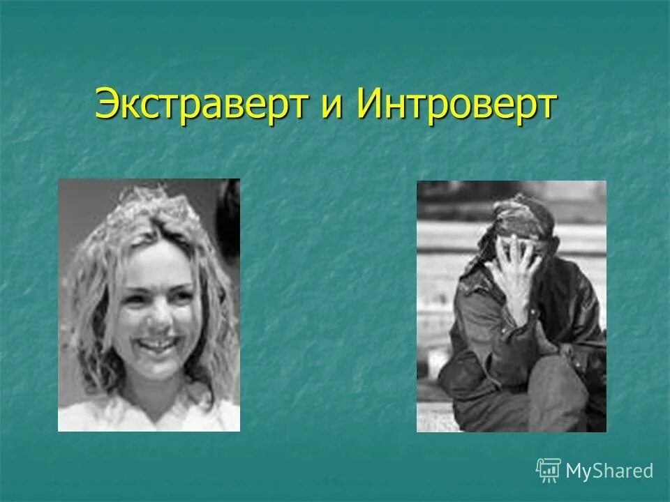 Интроверт синоним. Экстраверты и интроверты картины. Интроверты экстраверты амбиверты дивергенты. Типы экстравертов. Евгений баженов.