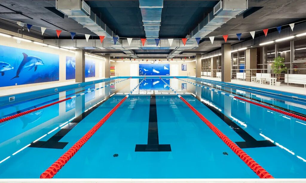 фитнес хаус абонементы 2023 спб. фитнес хаус на комендантском бассейн. фитнес хаус акции. абонемент в фитнес хаус. фитнес хаус абонементы 2023 спб.