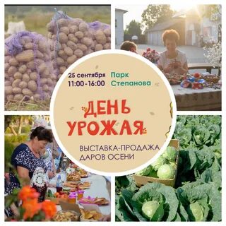 День урожая 2024 иваново