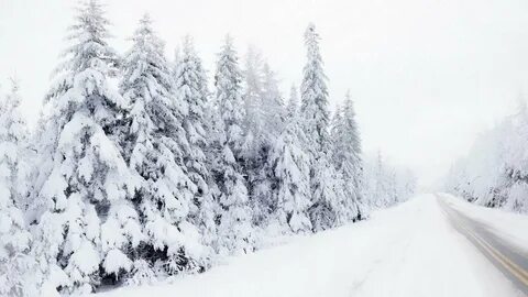 Are winter