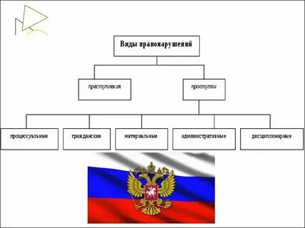 Какой вид правонарушения показан на фотографии