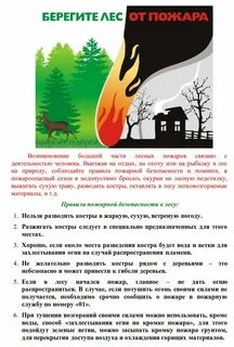 Беречь лес слова