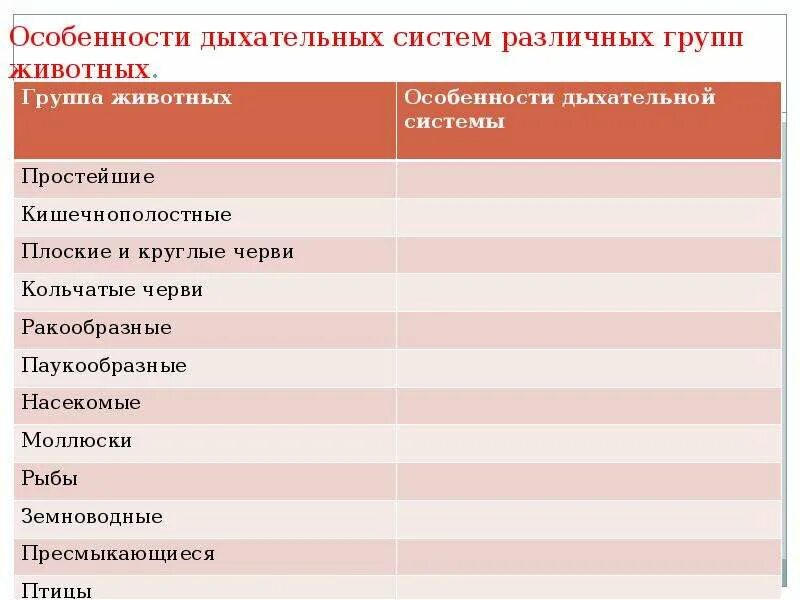 Особенности дыхательных систем различных групп животных. Особенности дыхательной системы животных. Особенностидыхательнойсистмеиы. Особенности дыхательной системы простейших.