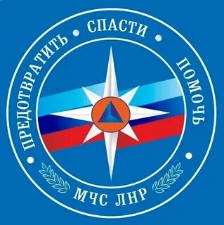Региональные министерства чрезвычайных ситуаций