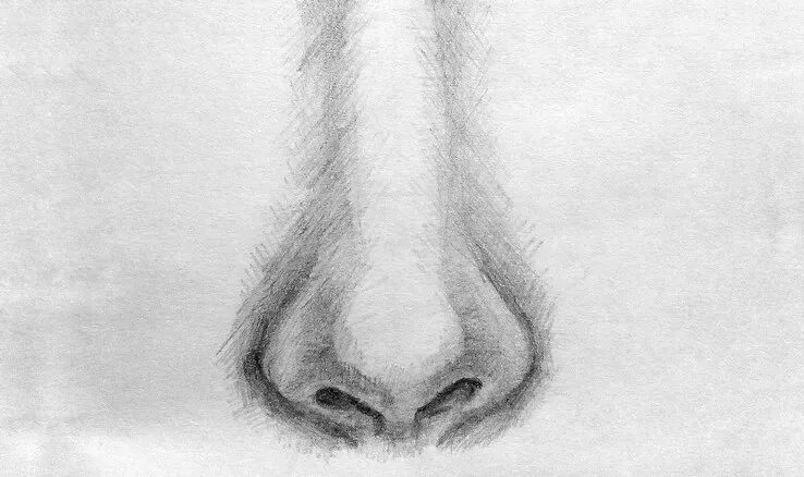 Нос снизу. Нос рисунок. Нос карандашом. Рисование носа карандашом. Нос человека рисунок.