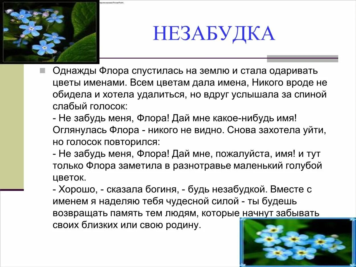 Незабудка рассказ. Мифы о цветах. Легенды о цветах. Легенды о цветах в рассказах. Сказочные истории про цветы.