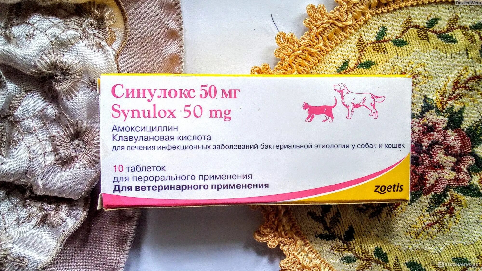 Синулокс 50 аналог. Синулокс. синулокс аналоги для кошек. синулокс 50 мг аналоги для кошек. синулокс таблетки для животных.