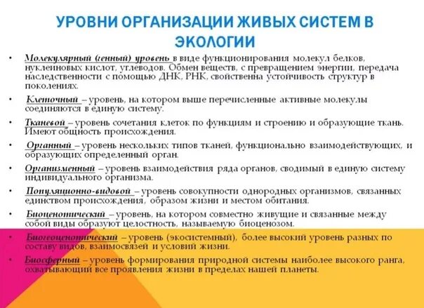 Условия организации живого. Уровни организации живых систем биология. Уровни организации. Экология уровни организации живого. Экологический уровень организации.