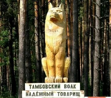 Почему говорят тамбовский волк тебе товарищ