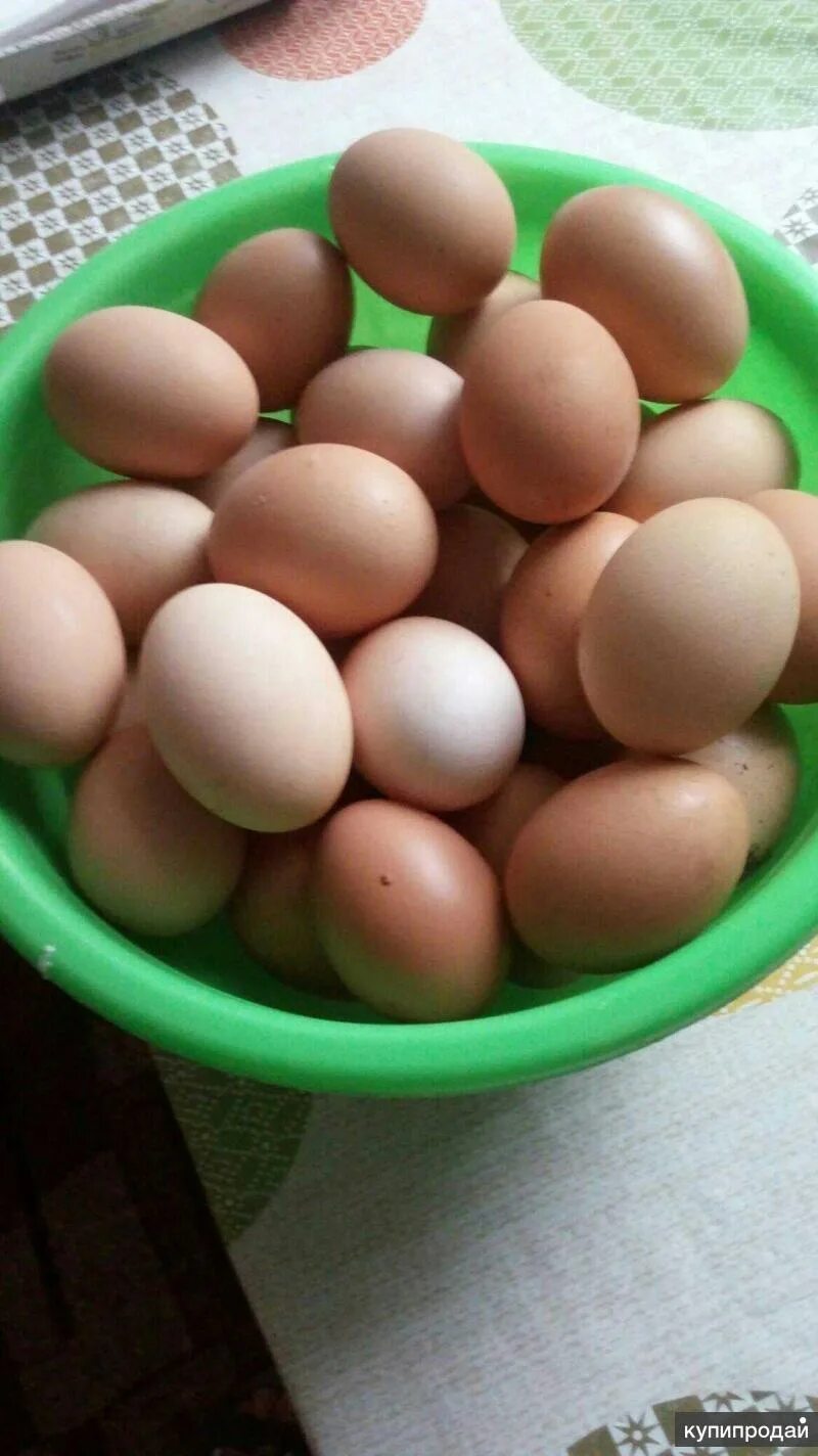 Домашние яйца. Яйцо куриное. Яйцо домашнее куриное. Куринныеяица домашние.