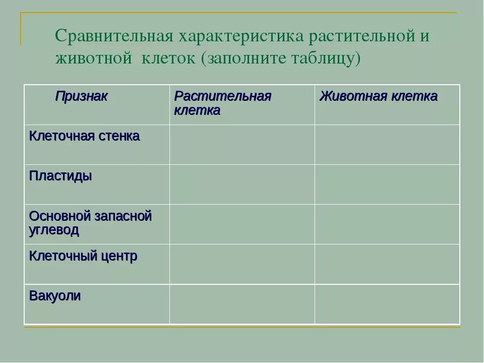 Клетка сходство различия животная растительная. Сравнение строения клеток растений и животных таблица. Сравнительная таблица растительной и животной клетки. Сравнительная характеристика животных и растительных клеток таблица. Животная клетка и растительная клетка сравнение таблица.