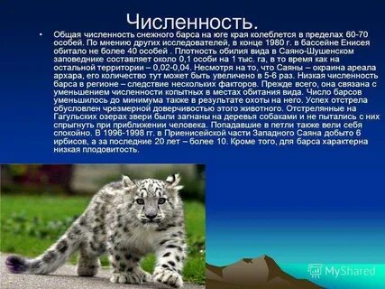 Барс книги