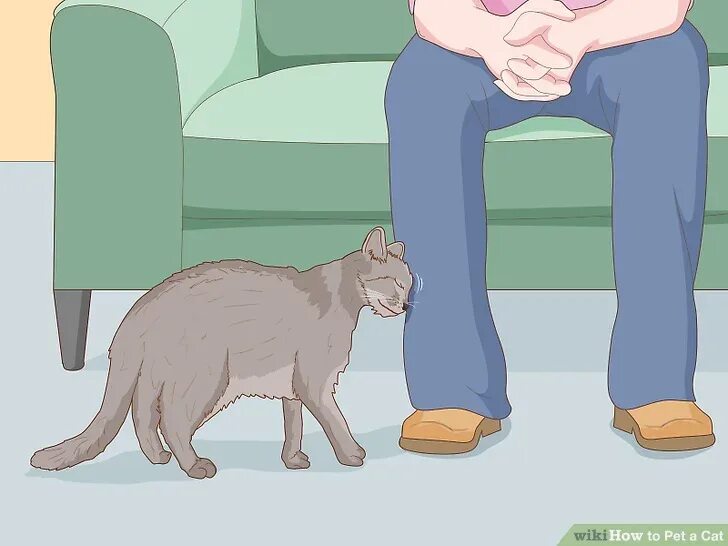 Is it a pet