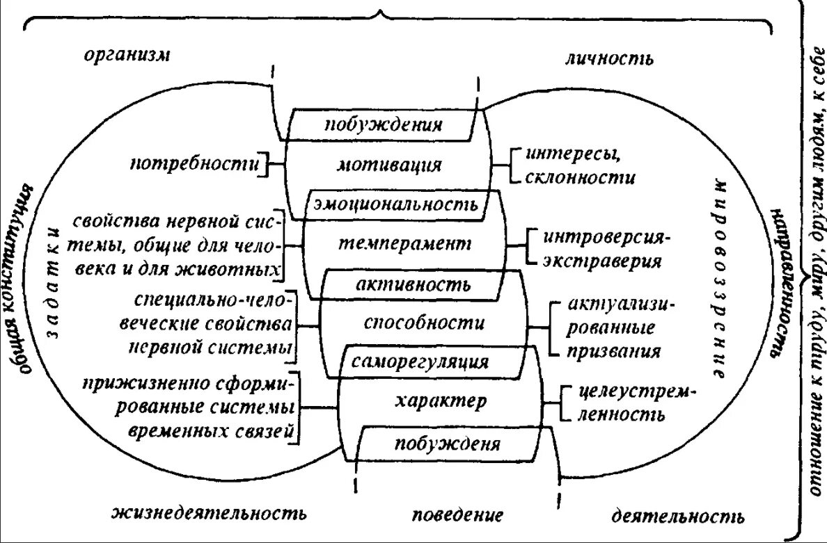 Изучение структуры темперамента. Схема личность индивид индивидуальность человек. схема &quot;структура темперамента&quot;. структура личности способности темперамент характер. структура личности в психологии схема.