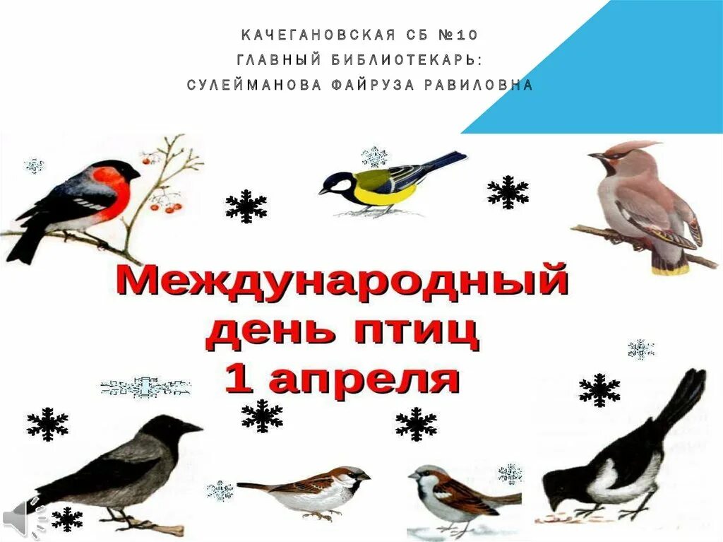 Международный день птиц. 1 Апреля день птиц. 1 Апреля день птиц презентация. День птиц отчет.