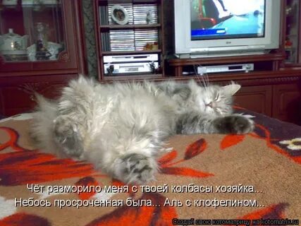 Разморило