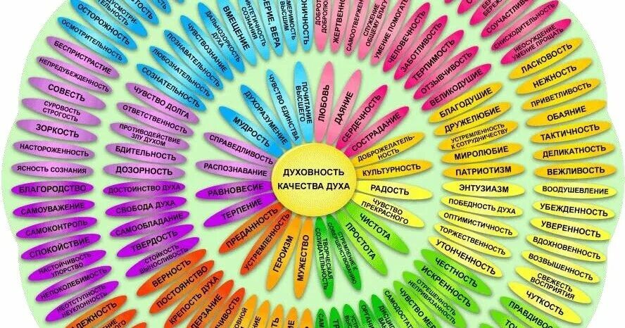 Цветок качеств человека